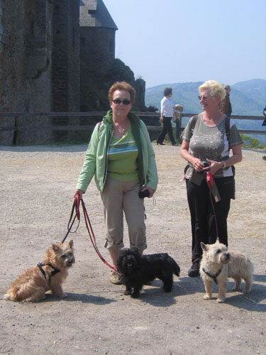 Cairn aktiv Aggstein#204C68