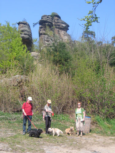 Cairn aktiv Aggstein#204C6D
